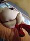 Letto